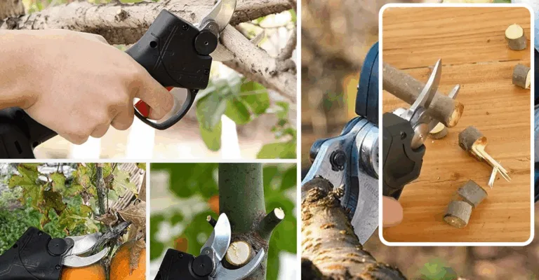 Top 3 Cordless Pruning Shears Of 2025. Tested By Gardeners