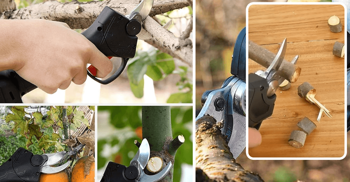 Top 3 Cordless Pruning Shears Of 2025. Tested By Gardeners